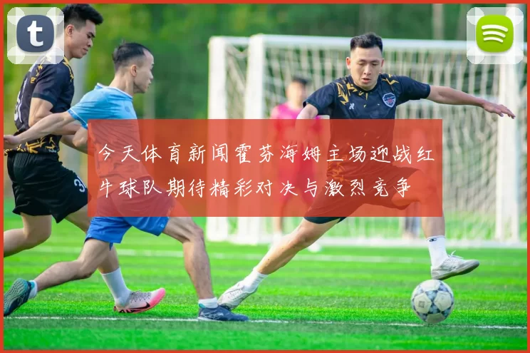 今天体育新闻霍芬海姆主场迎战红牛球队期待精彩对决与激烈竞争